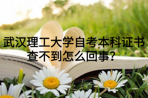 武汉理工大学自考本科证书查不到怎么回事？