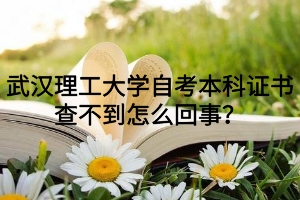 武汉理工大学自考本科证书查不到怎么回事?