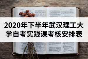 2020年下半年武汉理工大学自学考试本科实践课考核安排表