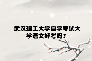 武汉理工大学自学考试大学语文好考吗?