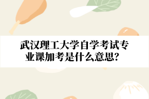 武汉理工大学自学考试专业课加考是什么意思?