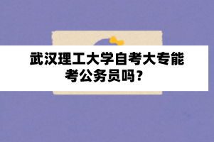 武汉理工大学自考大专能考公务员吗?