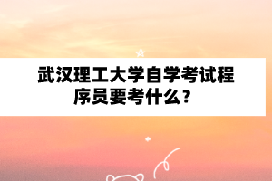 武汉理工大学自学考试程序员要考什么?